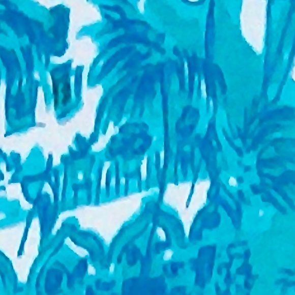 NWOT Lilly Pulitzer Via Mizner Palm Oasis Shift Dress Size X-Large - Picture 4 of 11
